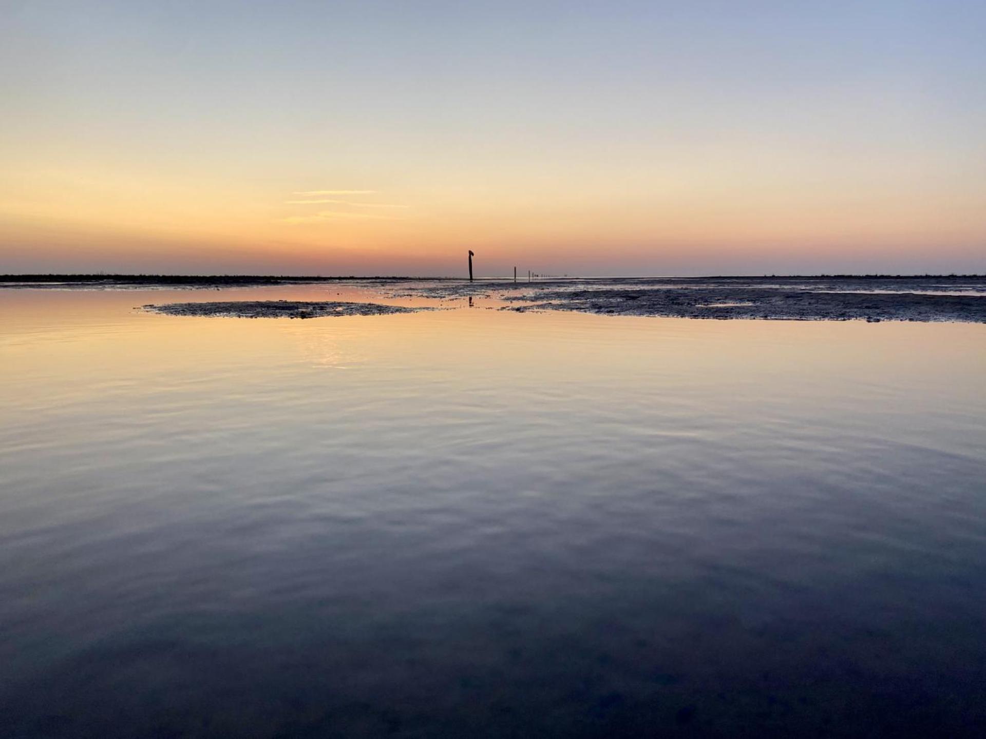 Deichgraf Daire Westerhever Dış mekan fotoğraf