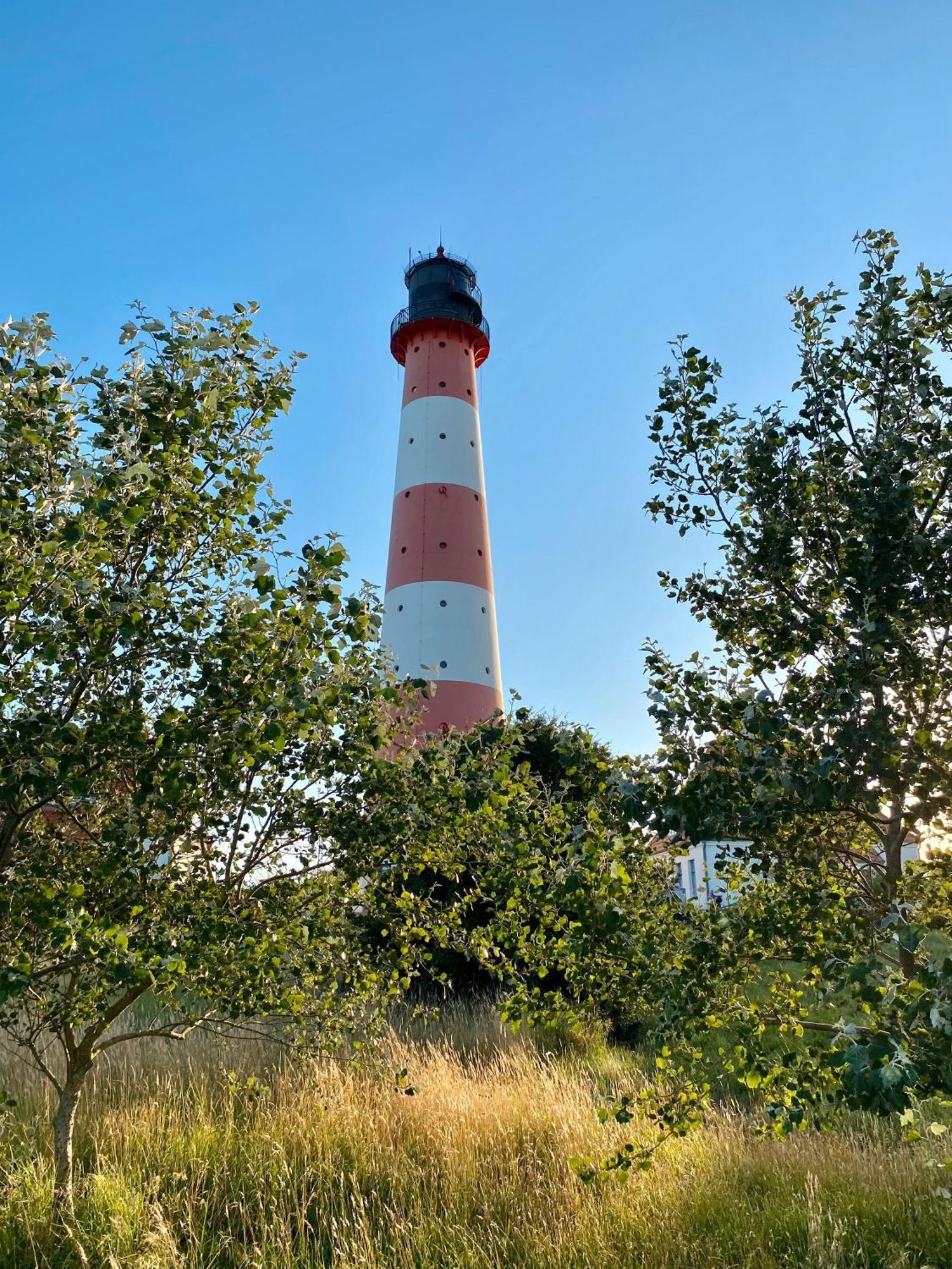 Deichgraf Daire Westerhever Dış mekan fotoğraf
