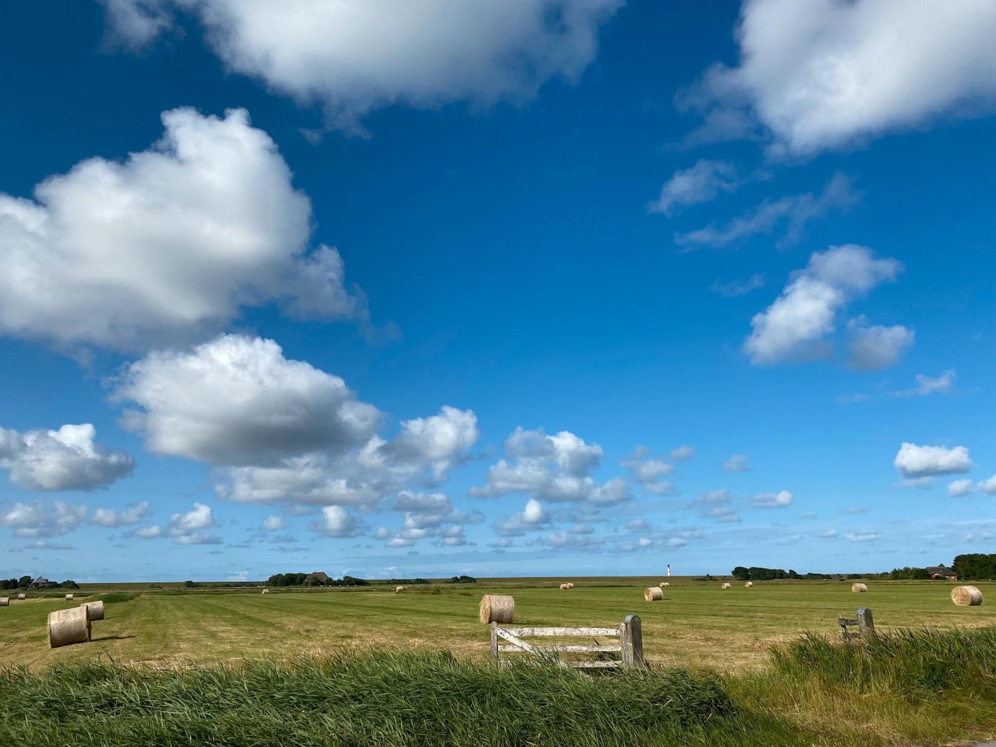 Deichgraf Daire Westerhever Dış mekan fotoğraf