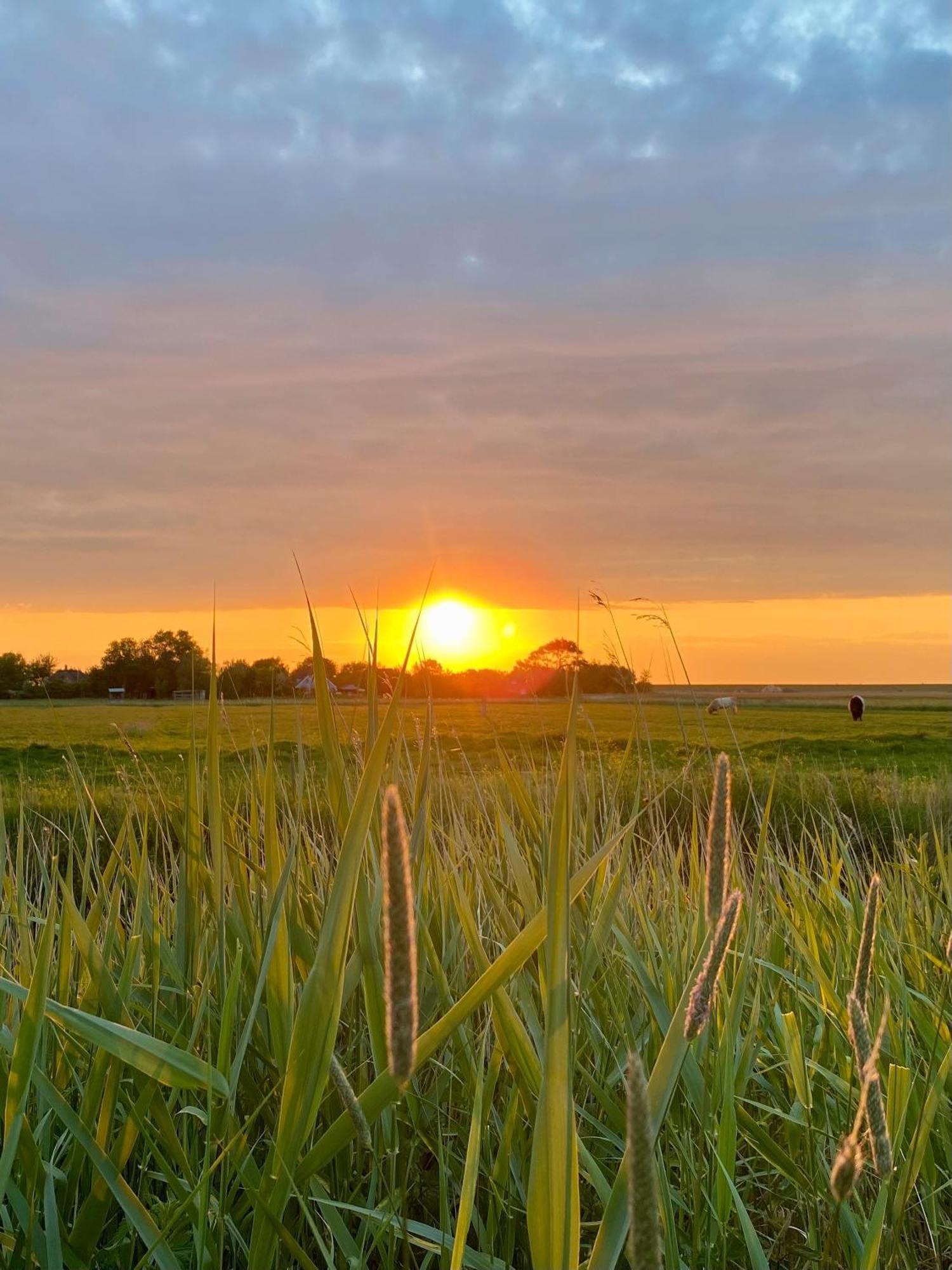 Deichgraf Daire Westerhever Dış mekan fotoğraf