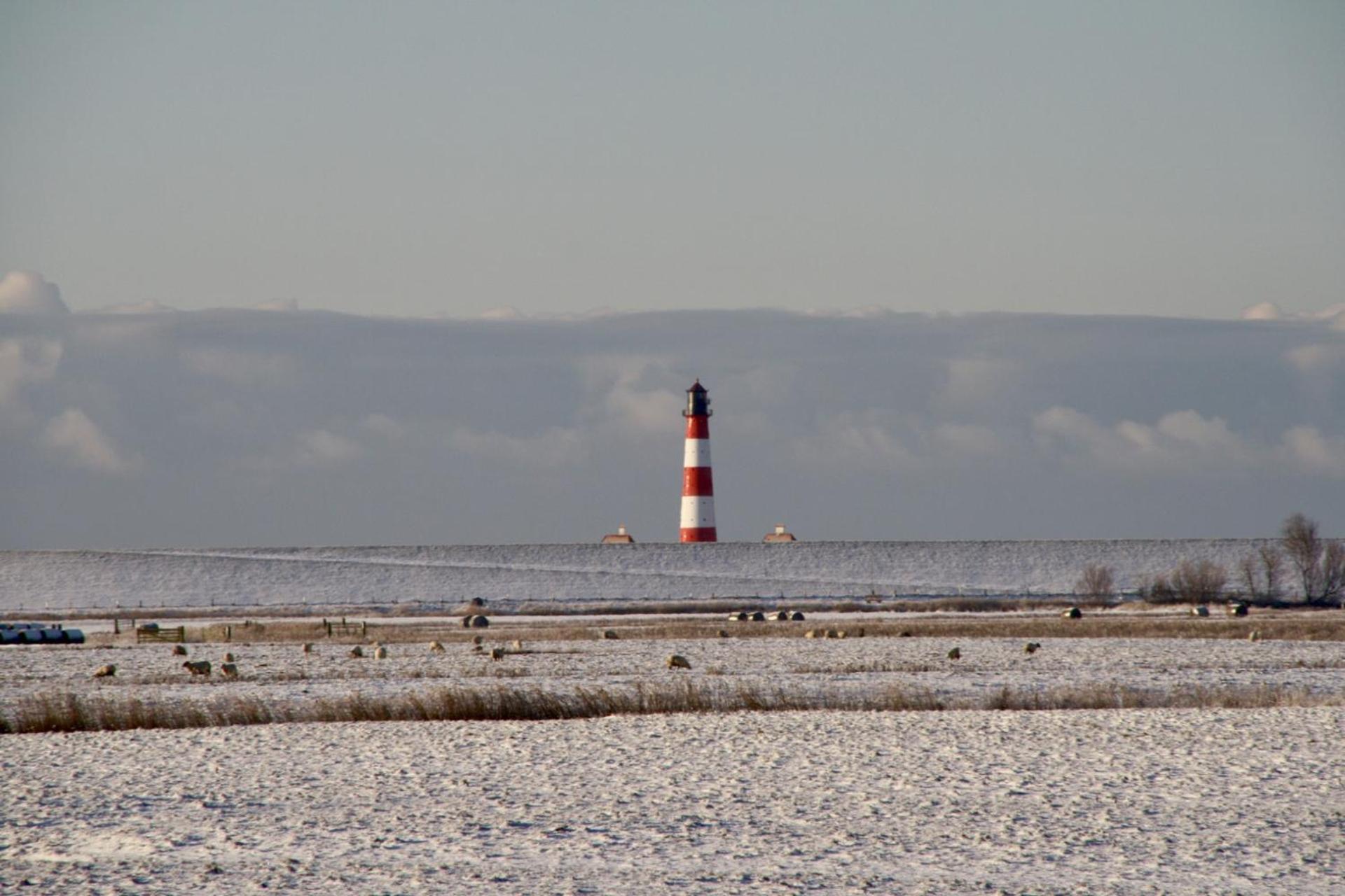 Deichgraf Daire Westerhever Dış mekan fotoğraf