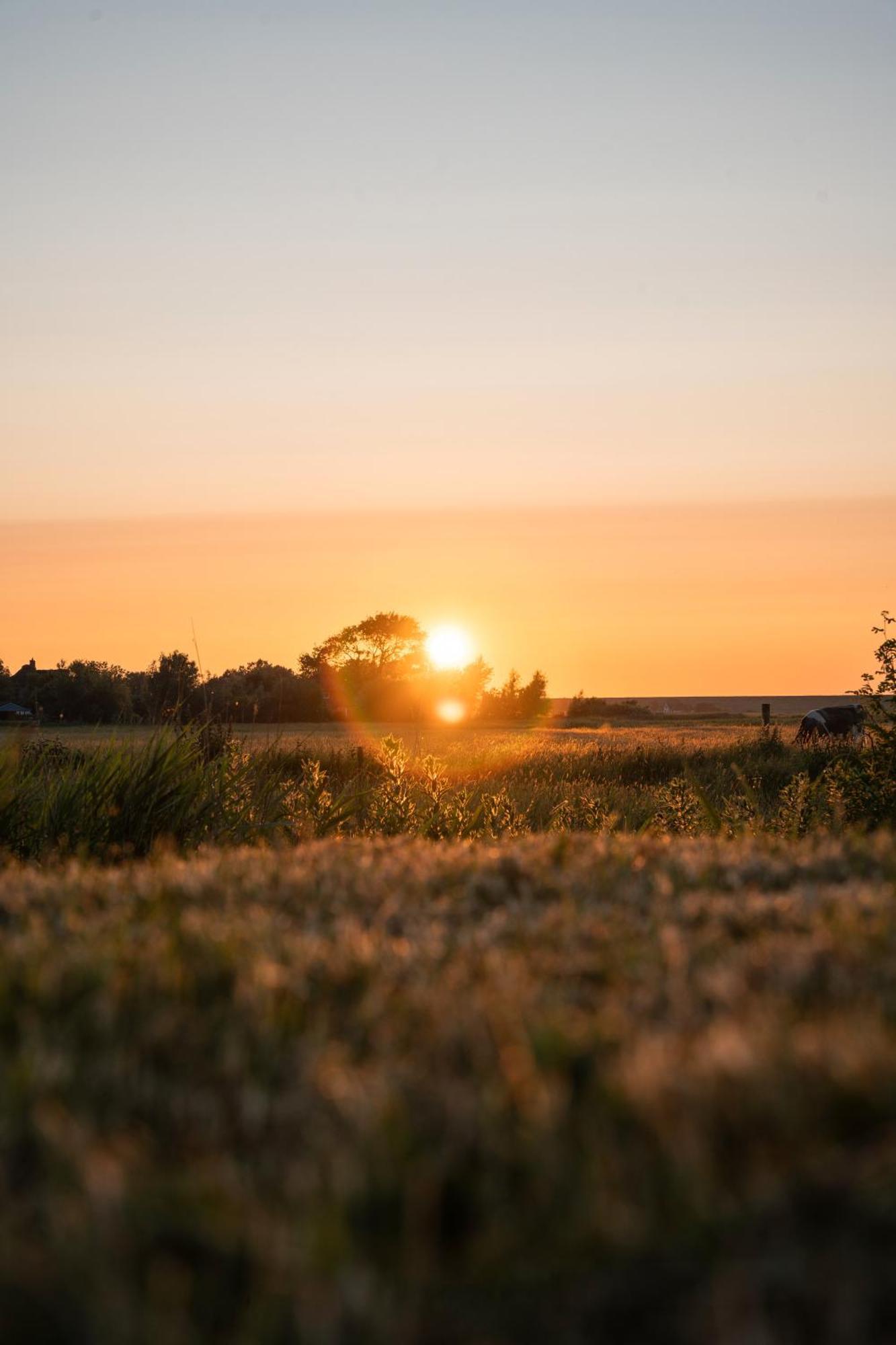 Deichgraf Daire Westerhever Dış mekan fotoğraf