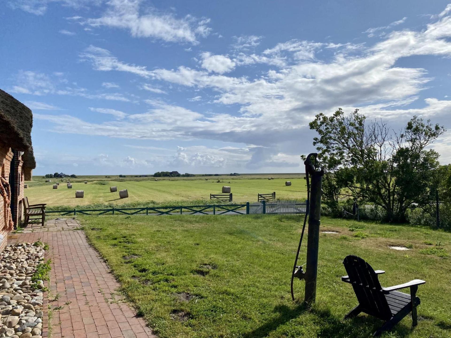 Deichgraf Daire Westerhever Dış mekan fotoğraf